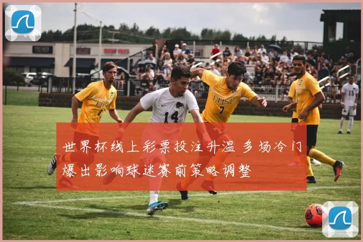 世界杯线上彩票投注升温 多场冷门爆出影响球迷赛前策略调整