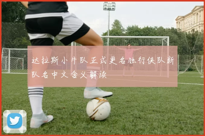 达拉斯小牛队正式更名独行侠队新队名中文含义解读
