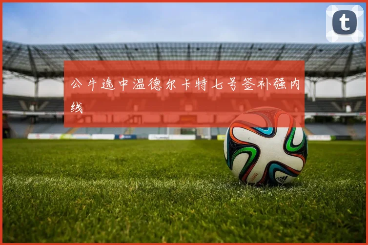 公牛选中温德尔卡特七号签补强内线