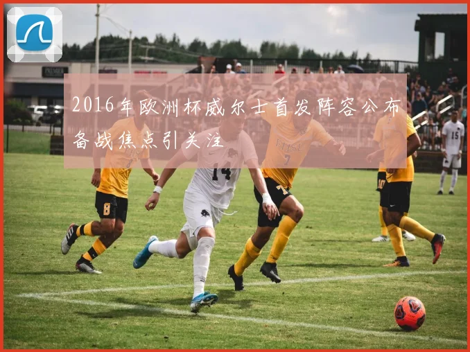 2016年欧洲杯威尔士首发阵容公布备战焦点引关注