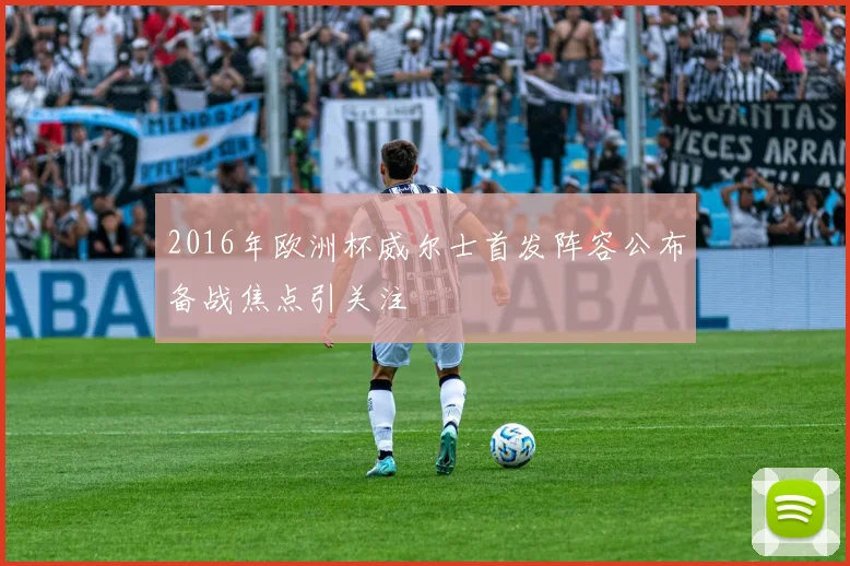 2016年欧洲杯威尔士首发阵容公布备战焦点引关注