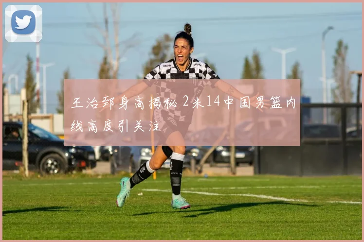 王治郅身高揭秘 2米14中国男篮内线高度引关注