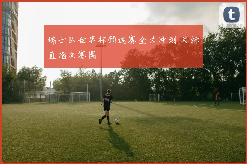 瑞士队世界杯预选赛全力冲刺 目标直指决赛圈